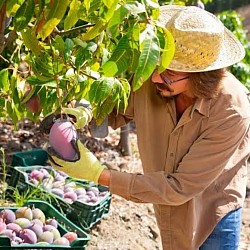 Africa Harvest Exporters