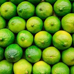 Africa Harvest Exporters - Exporting Citrus Fruits